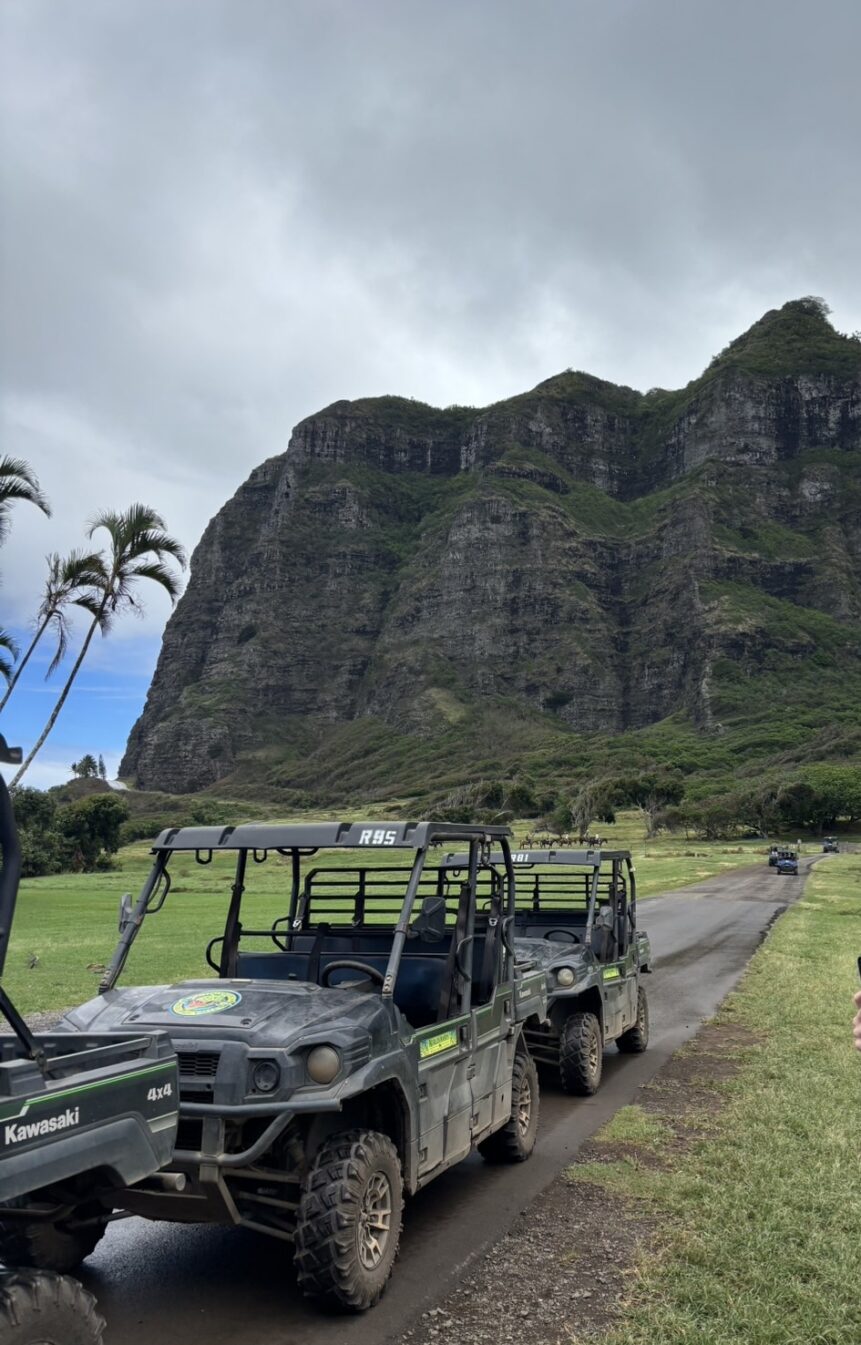 ハワイイラン　安比 ハワイイラン 安比 ハワイイラン 安比 在住者レポート】これぞハワイの